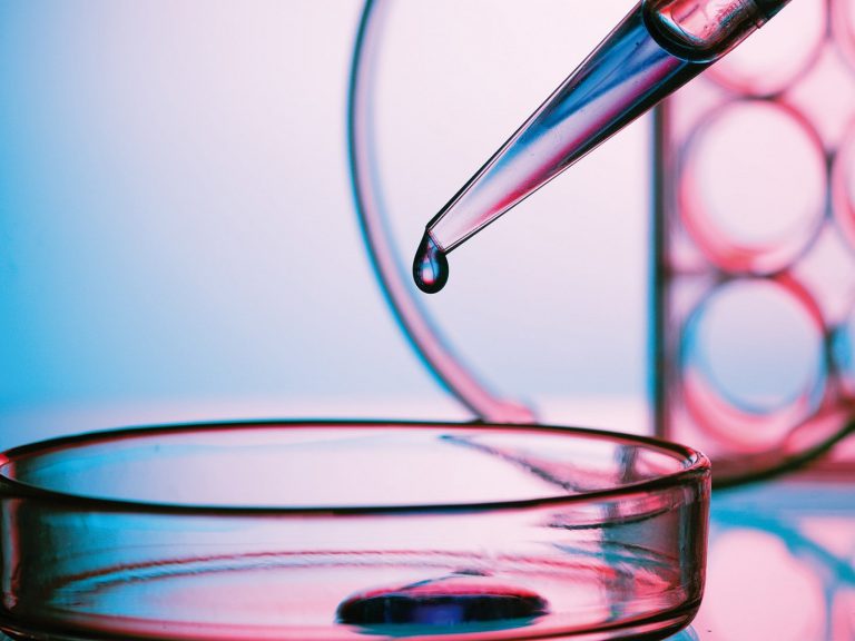 Invitro Testing SterlabStore